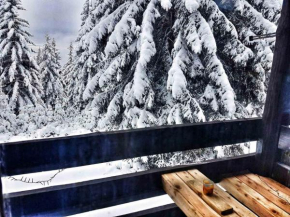 Apartma Rogla Gaber 63